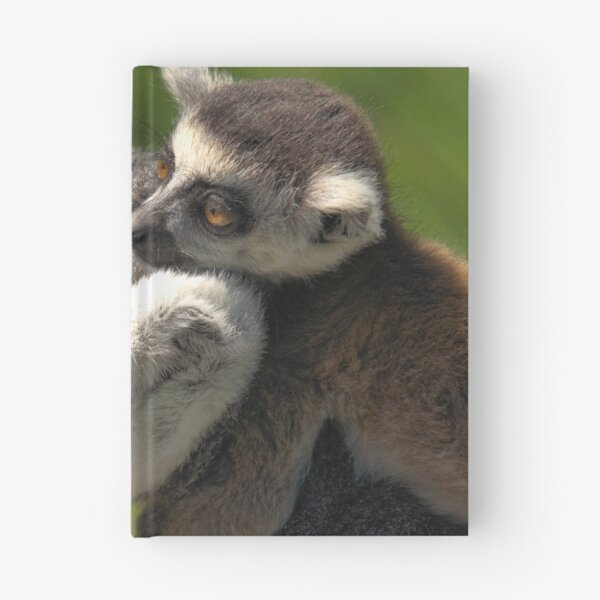 Item preview, Ring-tailed Lemur with Baby designed and sold by Jo Nijenhuis.