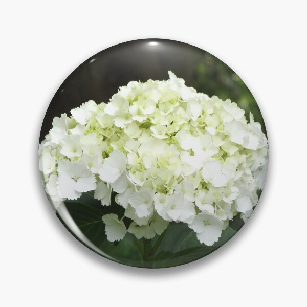 Item preview, White hydrangea designed and sold by greentiger1.