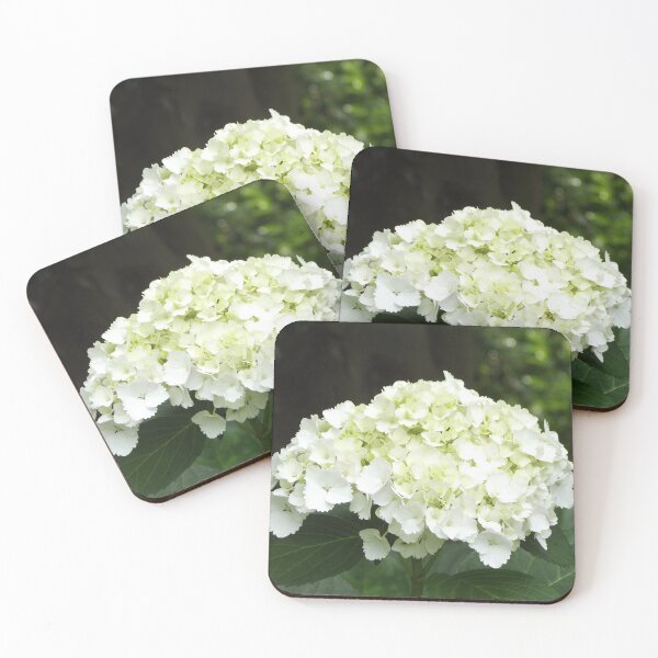 Item preview, White hydrangea designed and sold by greentiger1.
