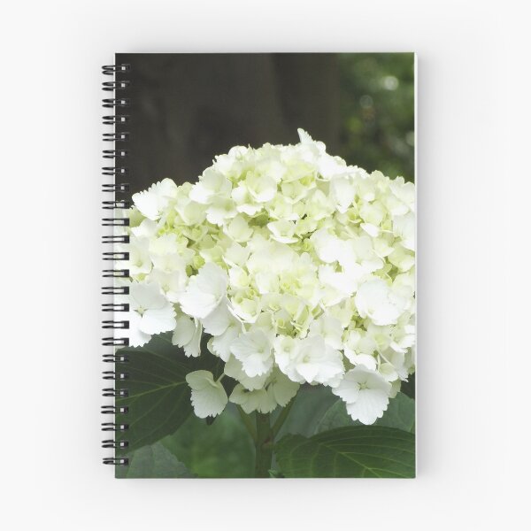 Item preview, White hydrangea designed and sold by greentiger1.