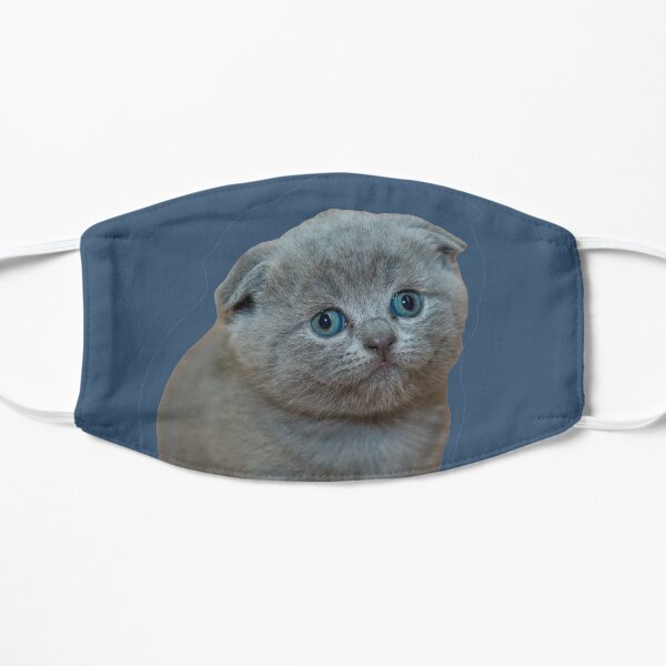 Derpy Kitten Flat Mask