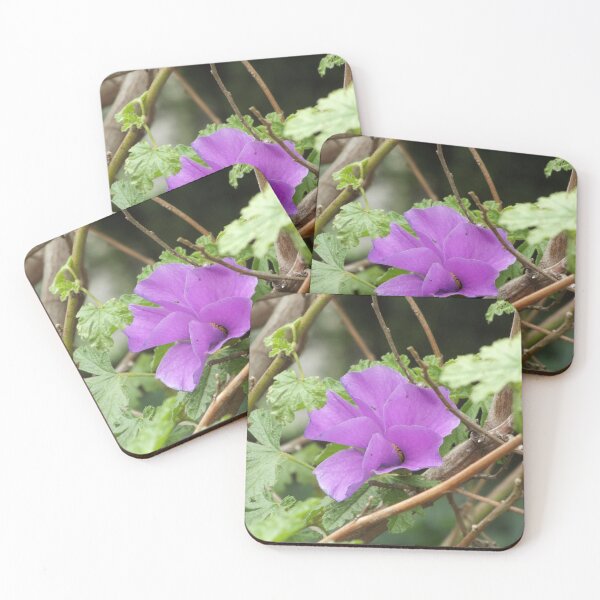 Item preview, Purple alyogyne flower designed and sold by greentiger1.