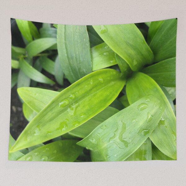 Item preview, Green Lily Leaves after Rain designed and sold by Rachel Pile.
