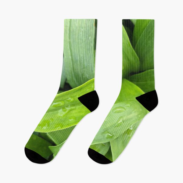 Item preview, Green Lily Leaves after Rain designed and sold by Rachel Pile.