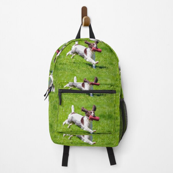 Item preview, Springer Spaniel at gun dog trials designed and sold by Dalyndigital Photography.