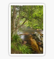 Brodribb River #2 Sticker