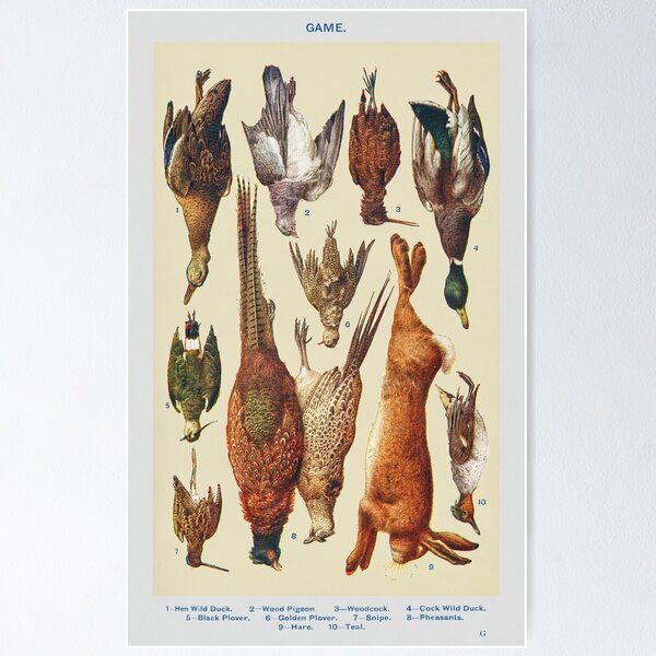 Item preview, Vintage Hunting Game Poster designed and sold by redoARTstore.