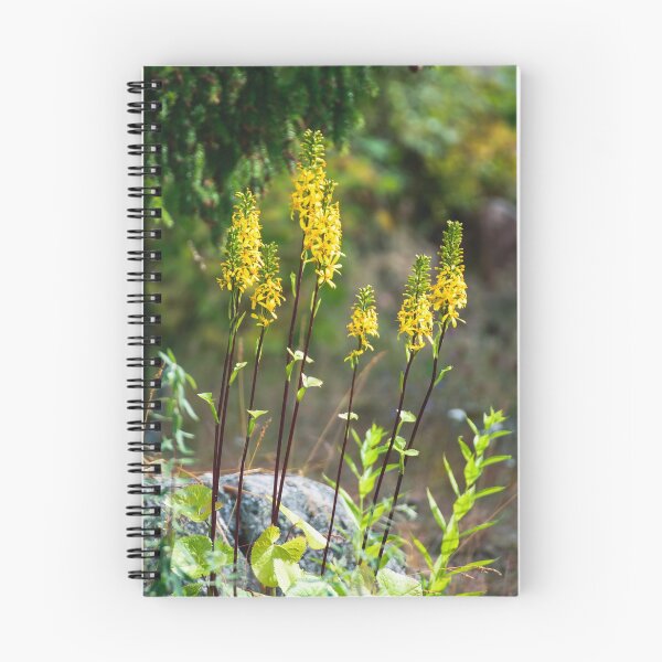 Item preview, Yellow flowers designed and sold by Alvisen.