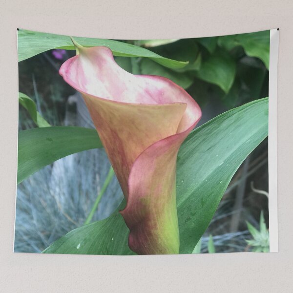 Item preview, Pink calla lily, surrounded by exotic, lush greenery. designed and sold by Lorraine Lashley  - My Joy..