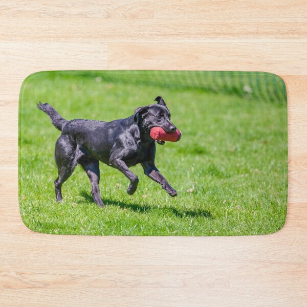 Item preview, Black labrador at gun dog trials designed and sold by Dalyndigital Photography.