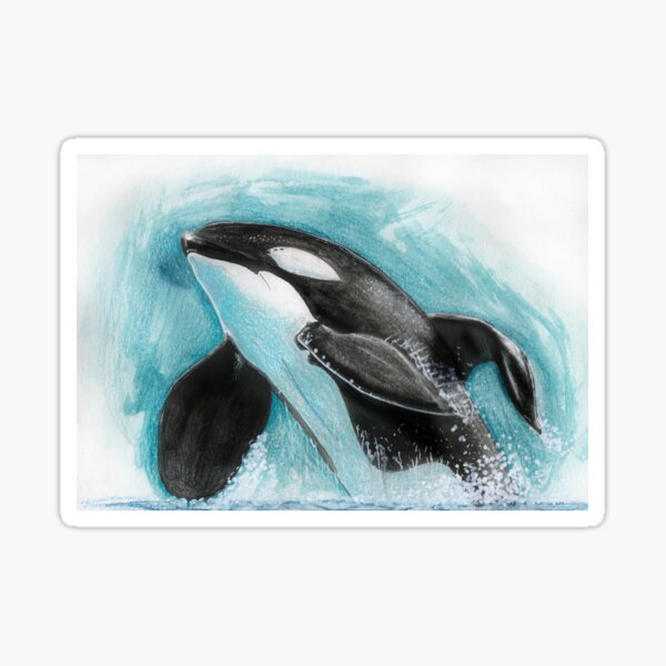 Tilikum Sticker