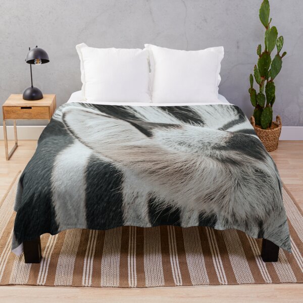 Item preview, Close-up of zebra skin, zebra ear, and zebra stripes designed and sold by Melissa Peltenburg.