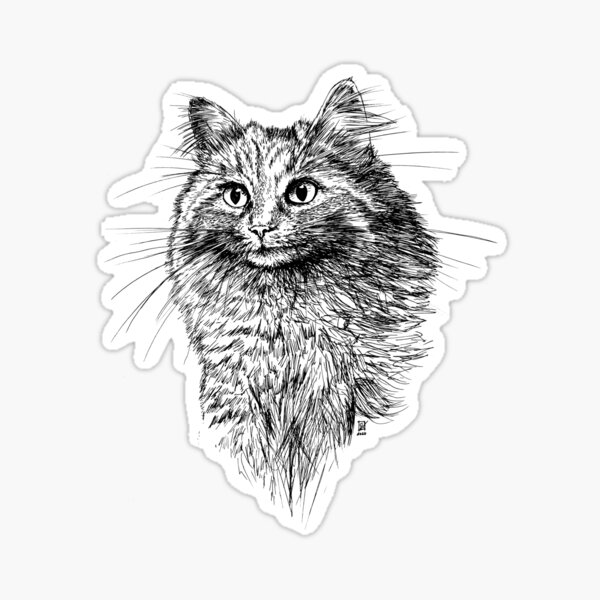 Katze Whisky Sticker