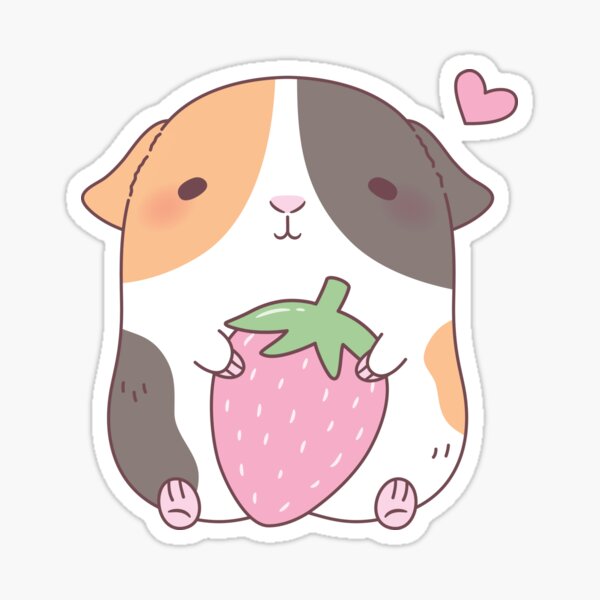 Guinea shop pig strawberry