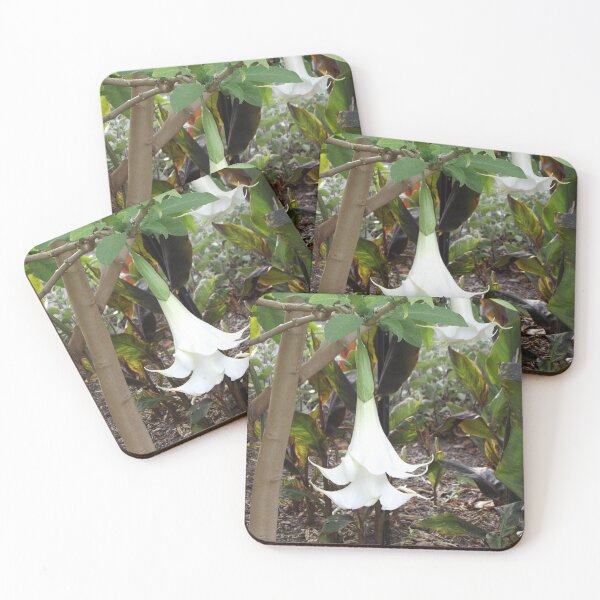 Item preview, Angel's trumpets designed and sold by greentiger1.