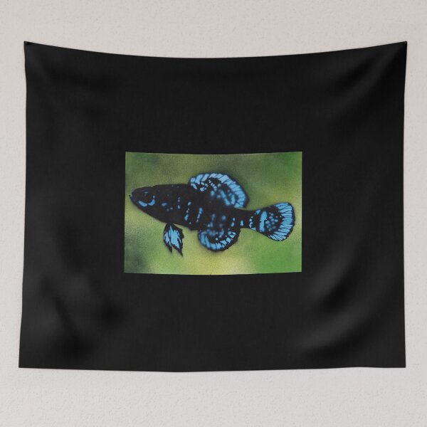 Item preview, Elassoma Evergladei designed and sold by AliRadicali.