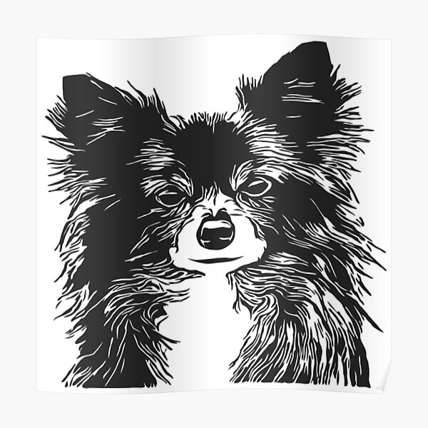 Poster Papillon Silhouette Redbubble