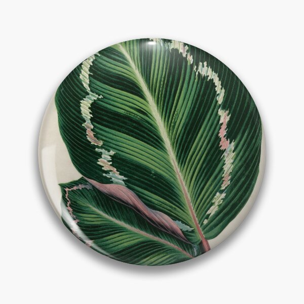 Item preview, Rose Painted Calathea by Benjamin Fawcett designed and sold by redoARTstore.
