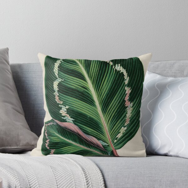 Item preview, Rose Painted Calathea by Benjamin Fawcett designed and sold by redoARTstore.