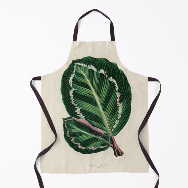Item preview, Rose Painted Calathea by Benjamin Fawcett designed and sold by redoARTstore.