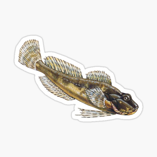Bullhead Sticker
