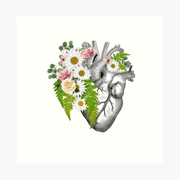 Item preview, Roses and daisy Heart Human Anatomy designed and sold by Collagedream.
