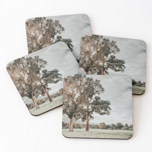 Item preview, Thai landscape, last sunbeams of the day over paddy field designed and sold by Melissa Peltenburg.