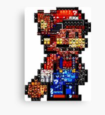 Mario from mario's Canvas Print