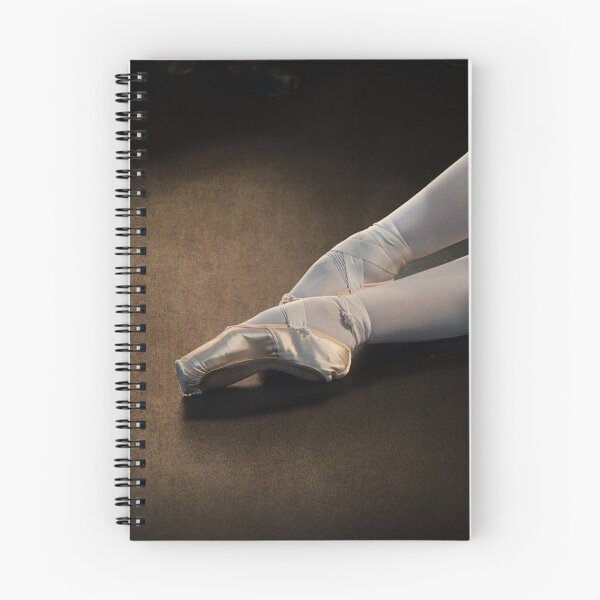 Item preview, Ballet pointe shoes designed and sold by David Milnes.