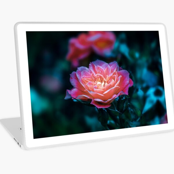 after glow Laptop Skin