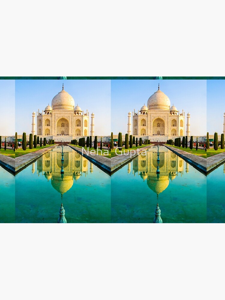 Reflection Of Taj Mahal by nehagupta