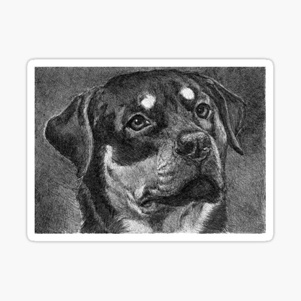 ISABEAU/Rottweiler Sticker