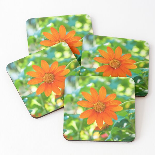 Item preview, Summer Bloom designed and sold by Ollivrosa.