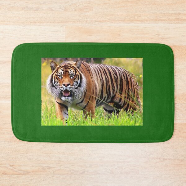 Item preview, Sumatran Tiger (2) designed and sold by Phil Le Cren.