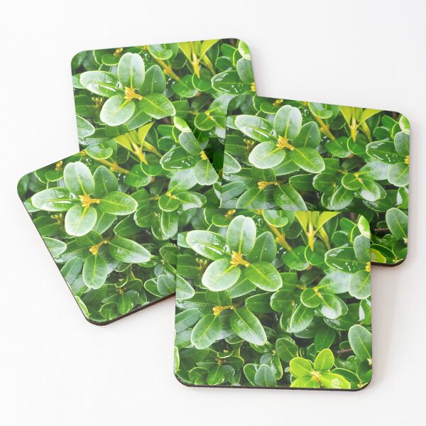 Item preview, boxwood leaves designed and sold by Valentina-V.