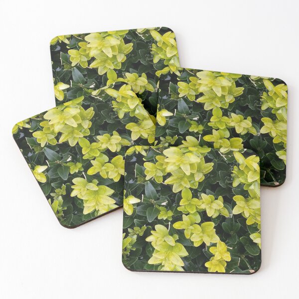 Item preview, young leaves designed and sold by Valentina-V.