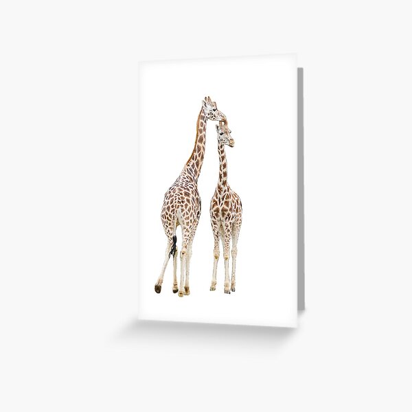 Artikel-Vorschau von Zwei Giraffen, designt und verkauft von flashcompact.