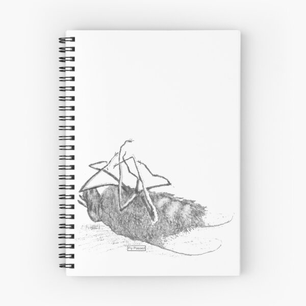 Item preview, Fly Passed designed and sold by davidgoble.