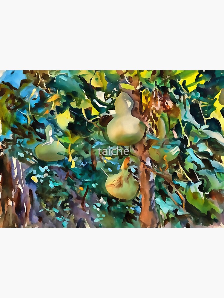 "Gourds After John Singer Sargent" Sticker for Sale by taiche Redbubble