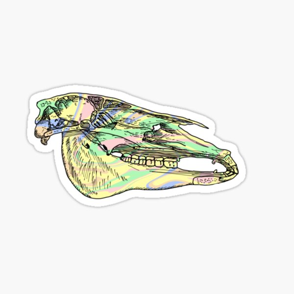 Item preview, Equine skull designed and sold by skylarchase.
