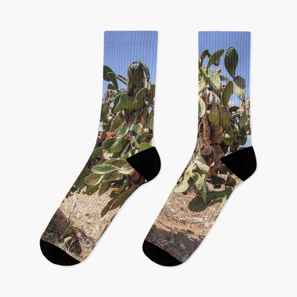 Item preview, Opuntia ficus-indica designed and sold by tomg.