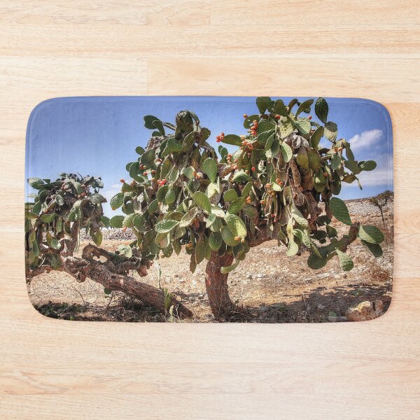 Item preview, Opuntia ficus-indica designed and sold by tomg.