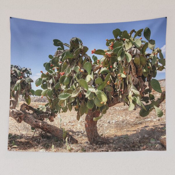 Item preview, Opuntia ficus-indica designed and sold by tomg.