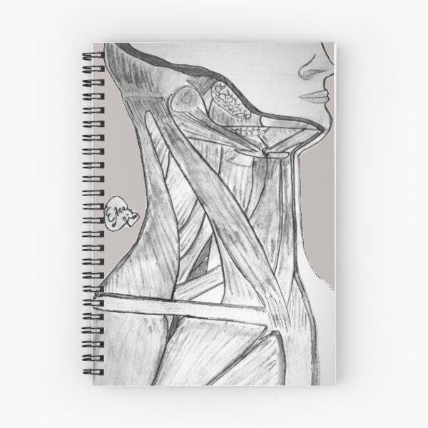Item preview, Muscles of the Neck Black and White designed and sold by Arte Del Cuerpo Humano.