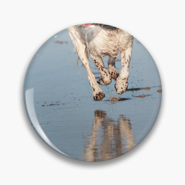 Item preview, English Springer spaniel designed and sold by RobWalkley.
