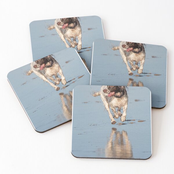 Item preview, English Springer spaniel designed and sold by RobWalkley.