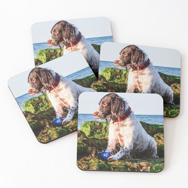 Item preview, English Springer designed and sold by RobWalkley.