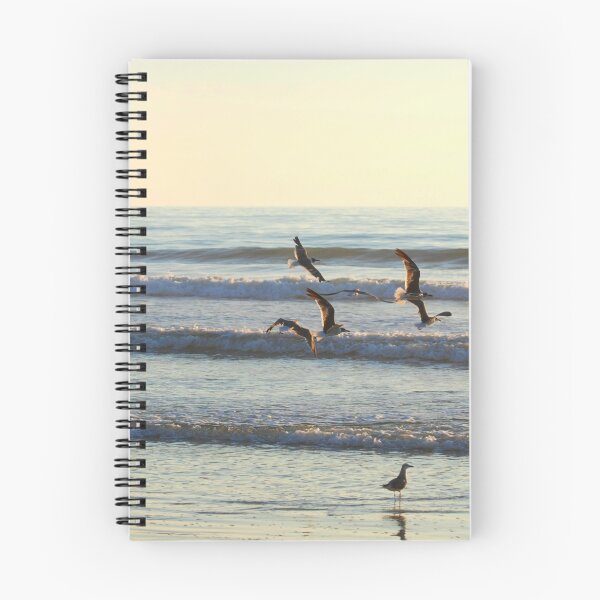 Item preview, Daytona Beach designed and sold by COLLINSPHOTO.
