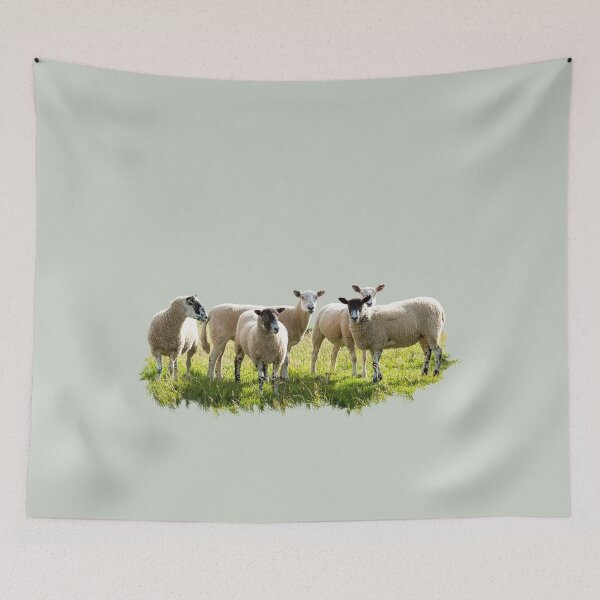 Item preview, Flock of Sheep designed and sold by Jane Stanley Photography.