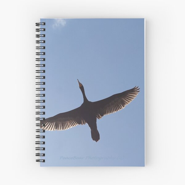 Item preview, Flight of The Cormorant-Believe designed and sold by Shilohlin Pfeiffer.